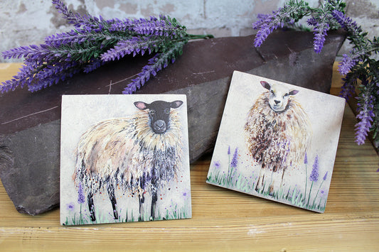 Sheep Coaster Set with 2 Coasters of Different Scene, Hand Tied With String